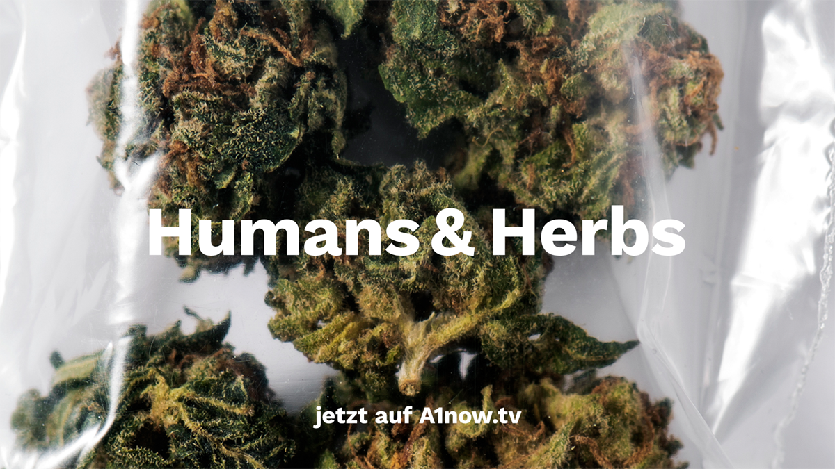 Human & Herbs